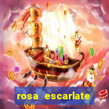 rosa escarlate ragnarok quest